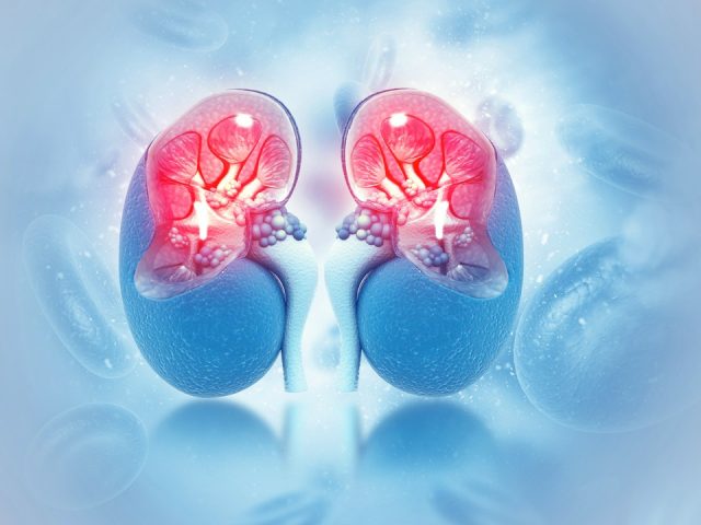 Zastosowanie biorezonansu w terapiach oczyszczania nerek z toksyn