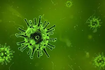 Test Pojedynczy - Wirusy