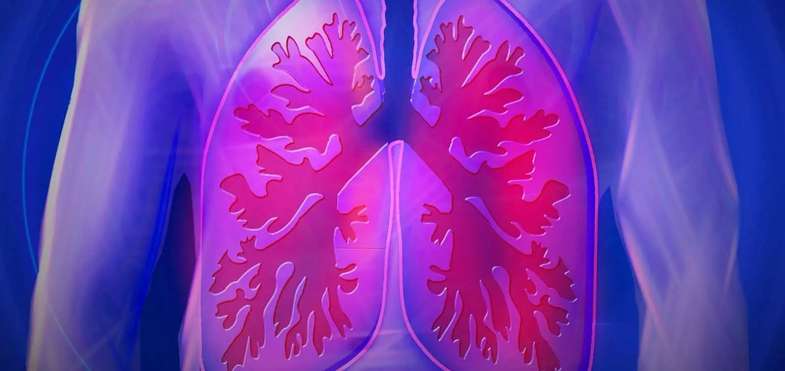 Zdjęcie płuc człowieka
